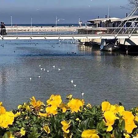 Merkez Yalova (Yalova)