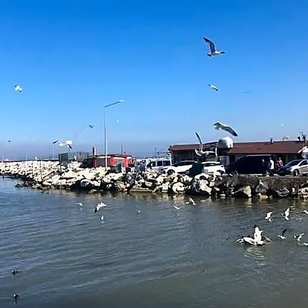 Hotel Merkez 3*